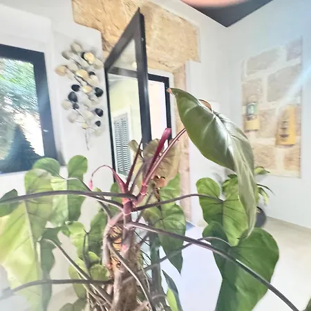 Kymata 阿沃拉